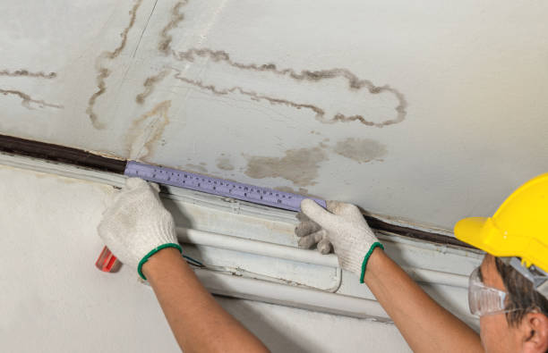 Reliable Burst Pipe Cleanup contractor in Stewart, MN by Water Damage Irwin